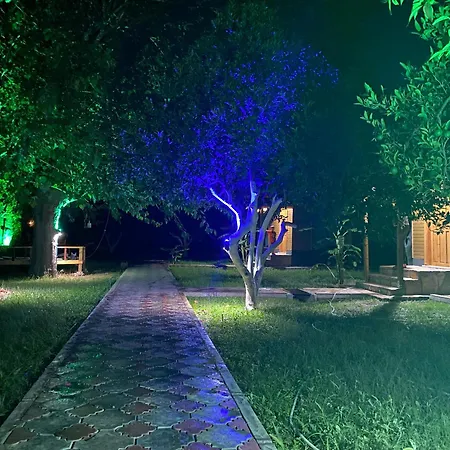 Metenin Lägenhetshotell Kemer